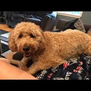 Meet your Posher, Caitlin